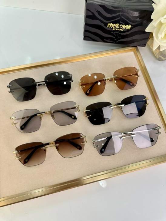 Picture of Roberto Cavalli Sunglasses _SKUfw60701569fw